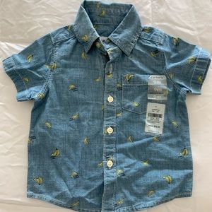 Carter’s button down shirt (9mos)